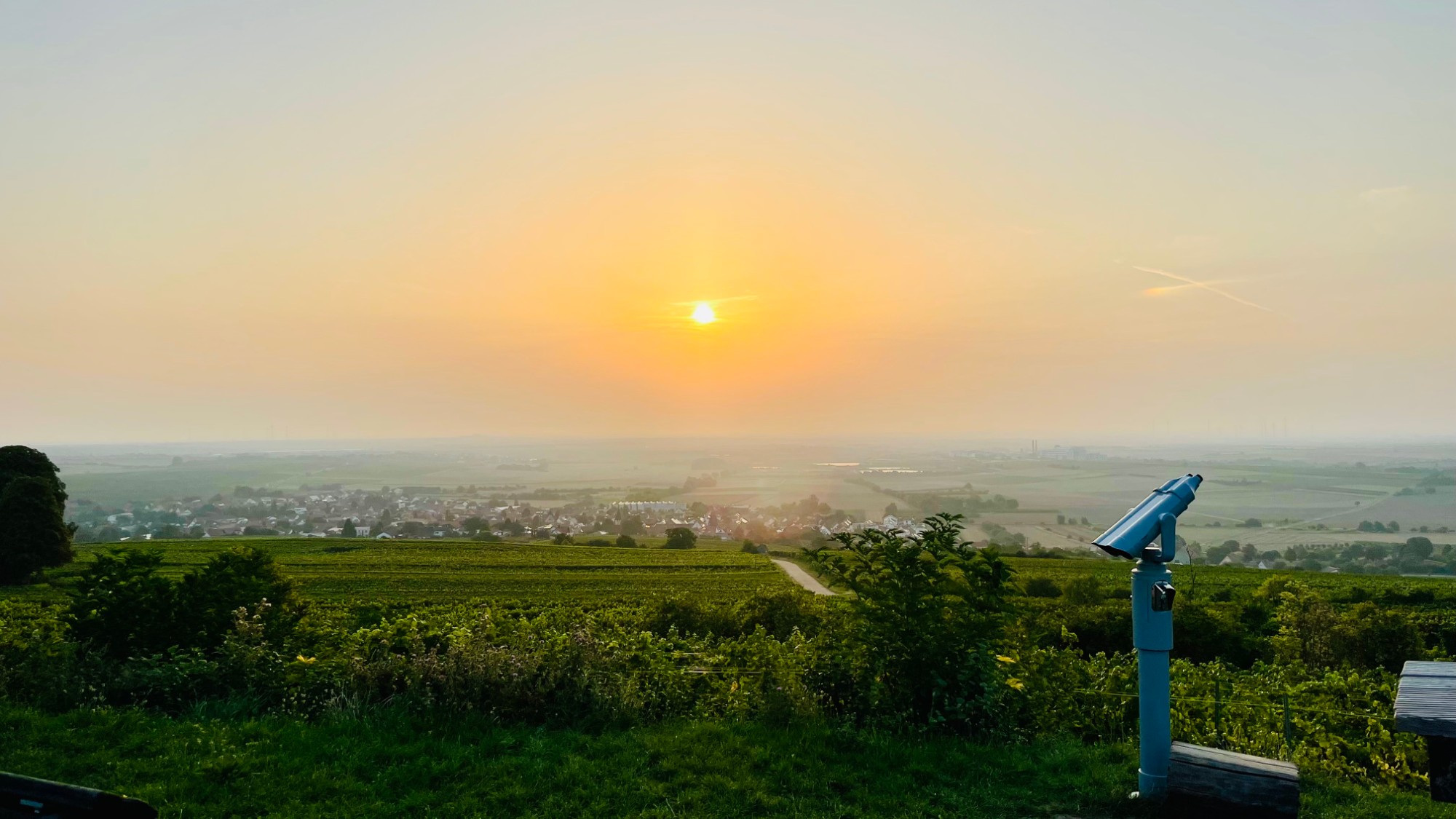 Sonnenuntergang über Weinbergen und einem Dorf in der Pfalz, vorne ein Aussichtsfernrohr